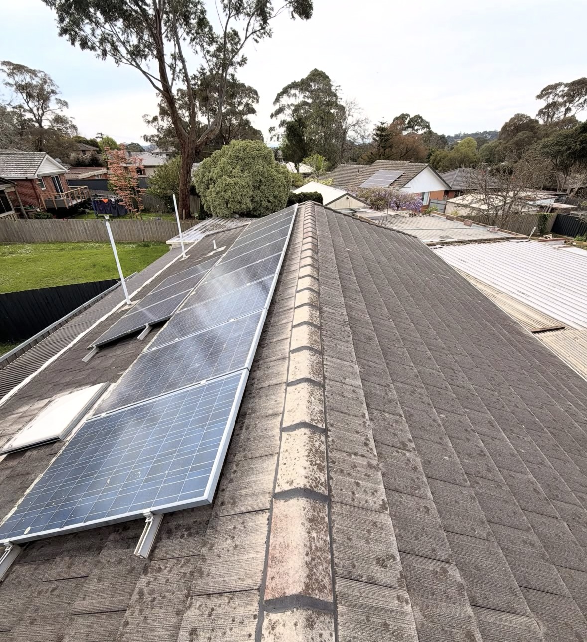The original weathered Boronia roof with solar panels before restoration