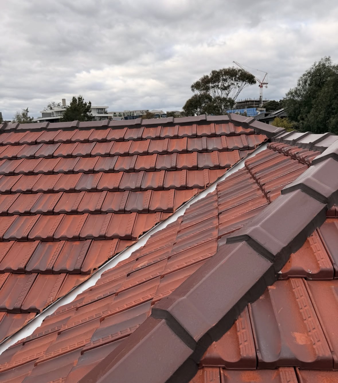 New terracotta tiles and finished ridge detail in Hampton East
